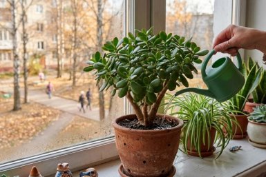 Тематическое фото сгенерировано при помощи ИИ